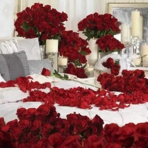 розы романтика