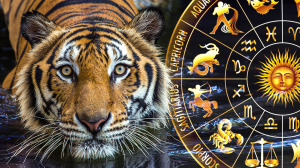 tigr-goroskop