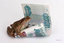 жаба деньги 1000
