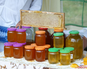 мед мног