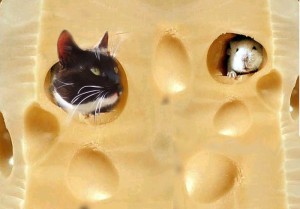 сыр кот и мышь