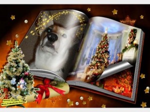 нов год книга