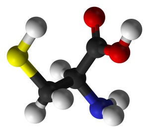 amino_acid_cysteine