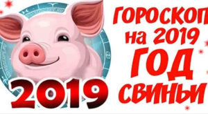 гороскоп 2019 свин